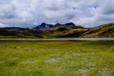 Scenic view of field against sky