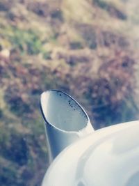 Close-up of plant against the sky