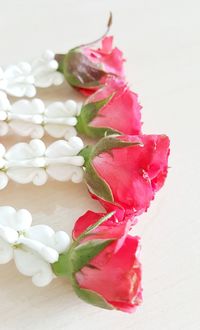 Close-up of roses over white background