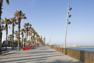 Street amidst palm trees against clear sky