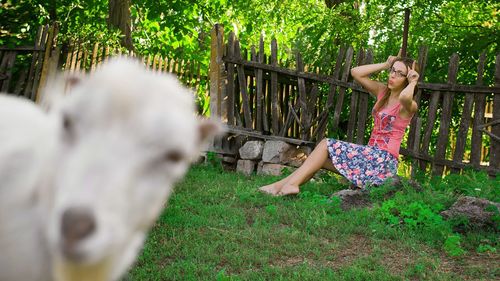 Portrait of woman making face while sitting on field with sheep in foreground