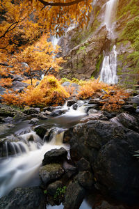 Stream flowing through rocks in forest during autumn