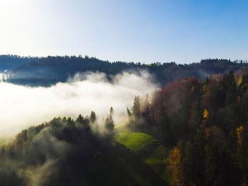 Panoramic shot of trees on land against sky
