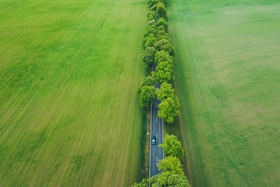 High angle view of agricultural field