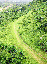 High angle view of trail