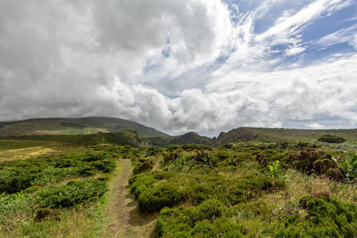 Scenic view of landscape against sky