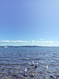 View of calm sea against blue sky