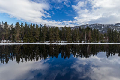 Scenic view of lake by trees against sky