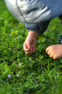 A three year old toddler boy holds a small blue flower in his hands in a city park. 