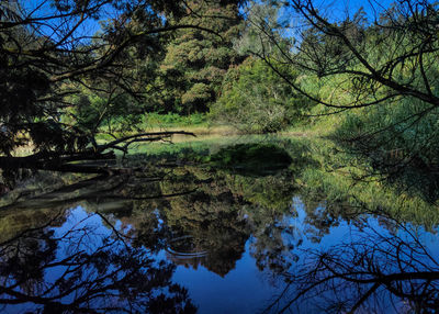 Reflection of trees in lake against sky