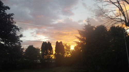 Silhouette trees against sky during sunset