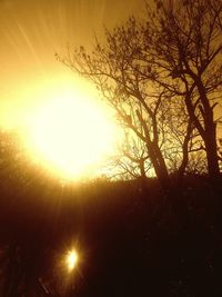 Silhouette bare tree against sky during sunset