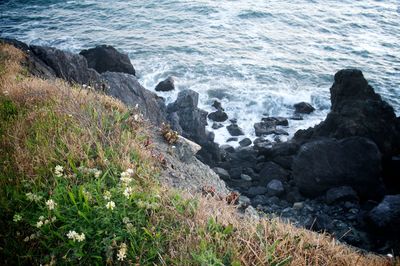 Scenic view of sea shore