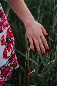 Cropped hand of woman touching plants