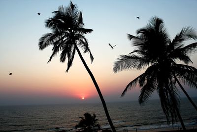 Silhouette palm tree by sea against sky at sunset