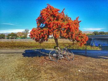 Bicycle by tree against sky during autumn