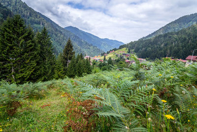 Scenic view of mountains against sky