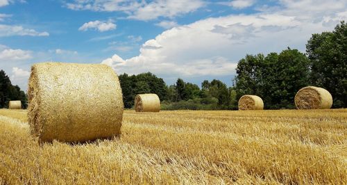 Hay bales on field against sky