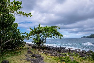 Scenic view of sea against sky