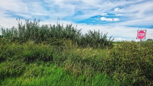 Scenic view of grassy field against cloudy sky