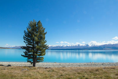 Scenic view of lake against clear blue sky