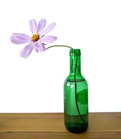 Close-up of flower in green glass bottle on table