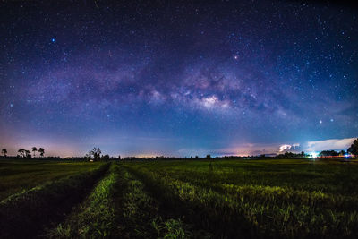 Scenic view of field against sky