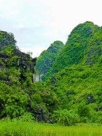 Scenic view of trees and mountains against sky