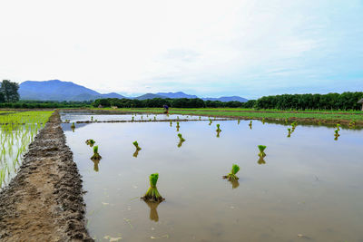 Scenic view of lake against sky