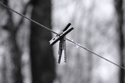 Close-up of clothespins on line