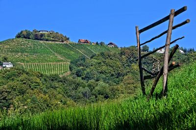 Scenic view of agricultural field against clear sky