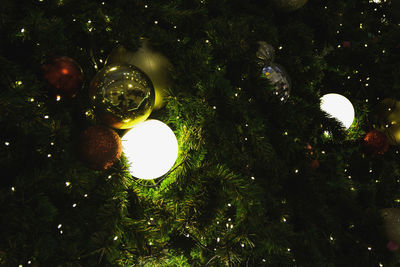 Close-up of illuminated christmas tree at night