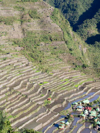 High angle view of agricultural field