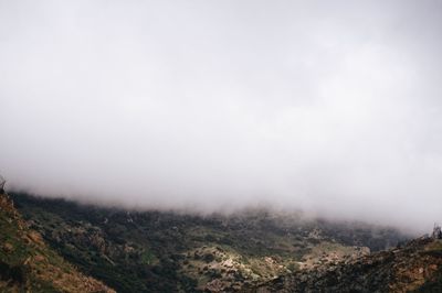 Scenic view of landscape against sky during foggy weather