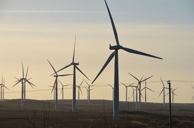 Wind turbines on field