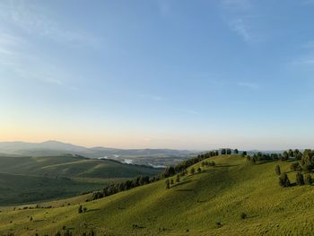 Scenic view of agricultural field against sky