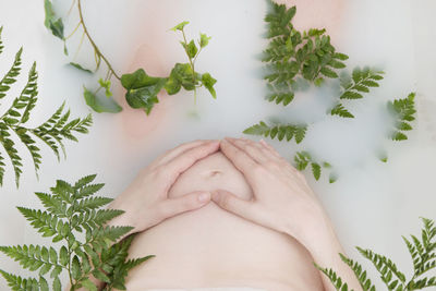 Midsection of pregnant woman making heart shape by plants on stomach