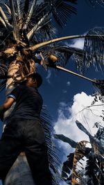 Low angle view of man standing by palm trees against sky