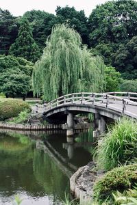 Bridge over river against trees