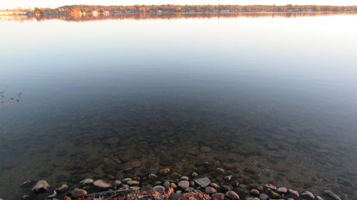 water