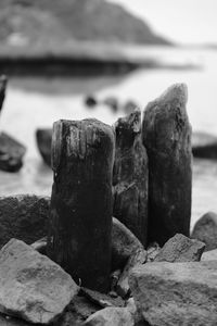 Close-up of stone on rock