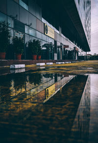 Reflection of building in water