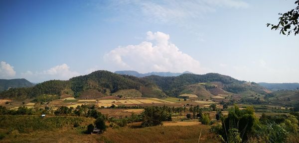 Scenic view of agricultural field against sky