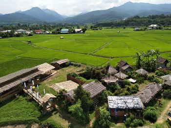 Scenic view of agricultural field and houses in village