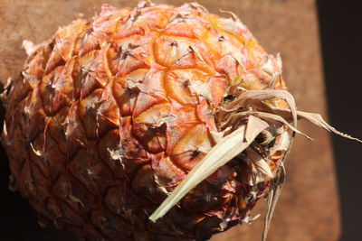 Ripped pineapple fruit