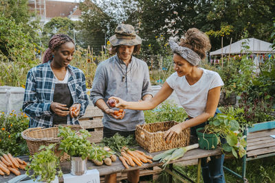 Male and female farmers selling vegetables in organic market