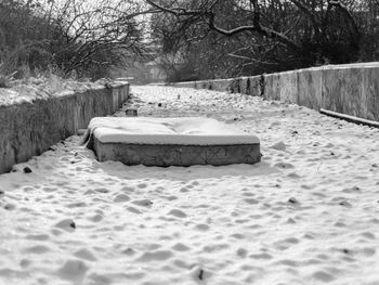 Empty bench in park