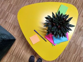 High angle view of multi colored pencils on table