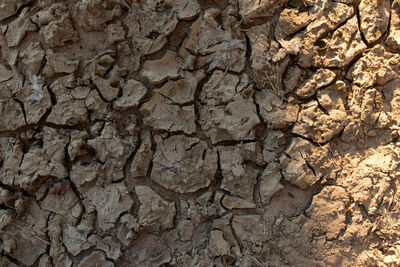 Full frame shot of rocks