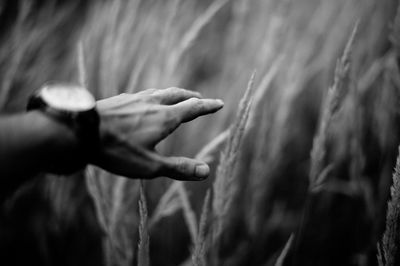 Close-up of human hand